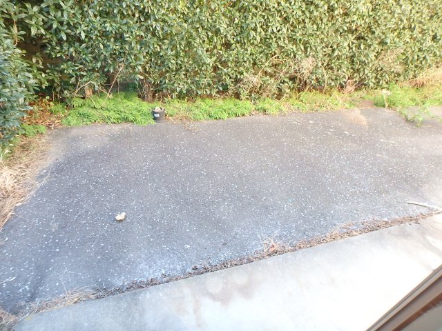 庭　別室参考写真