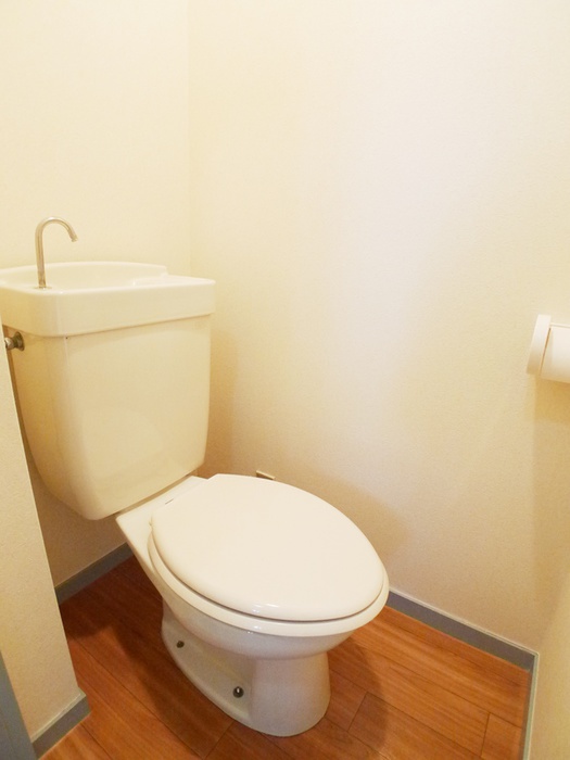 シャルムヤハギのトイレ写真