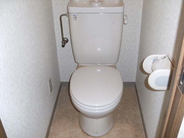 ＪＲ阪和線 下松駅 徒歩6分 2階建 築27年のトイレ写真