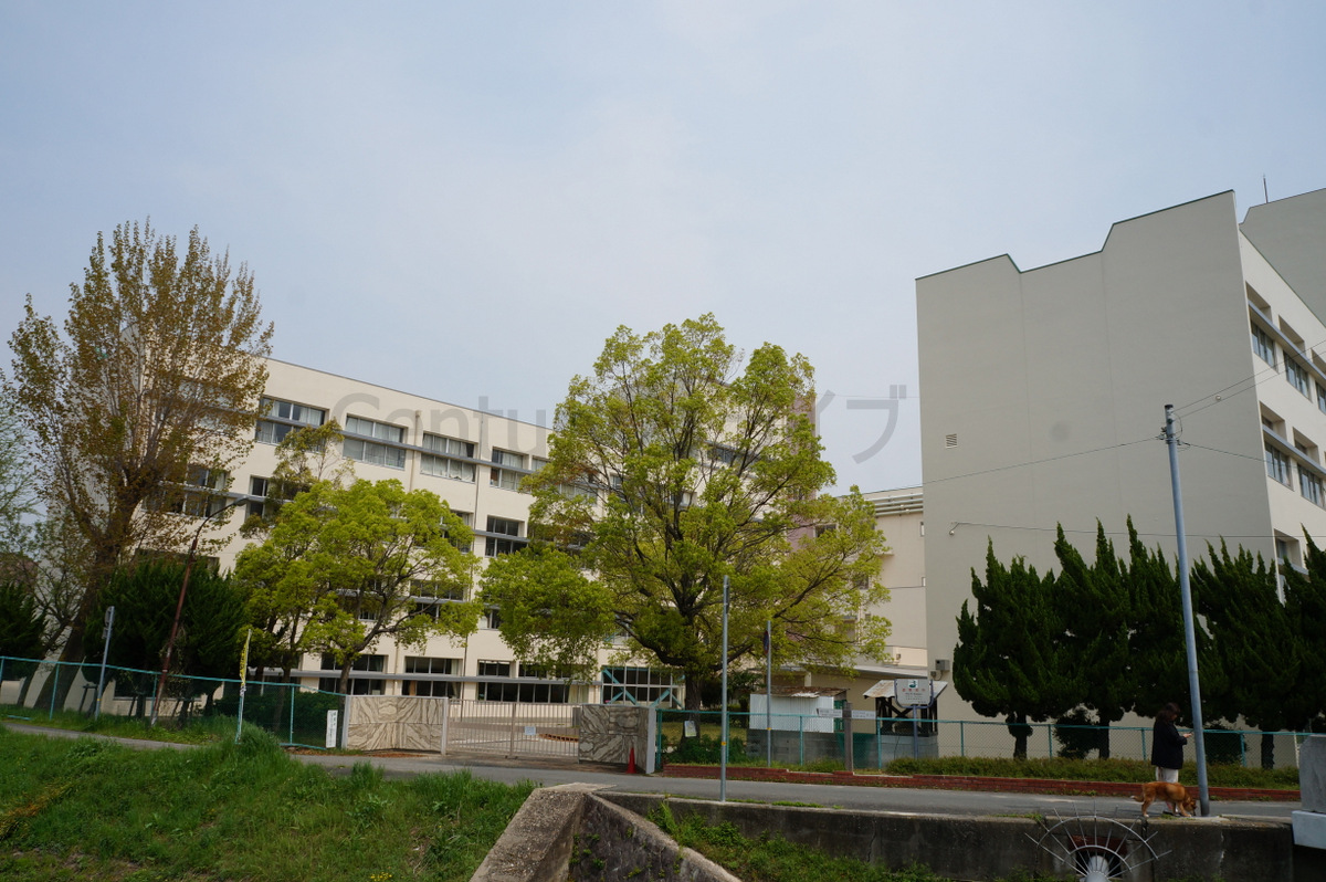 中学校　伊丹市立　天王寺川中学校（中学校）まで600m