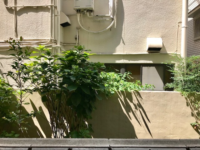 眺望　★眺望★