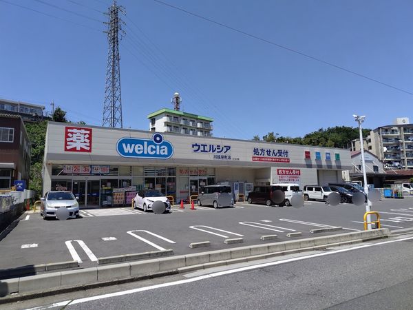 ドラックストア　ウエルシア川越岸町店（ドラッグストア）まで291m
