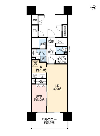 MJR深川住吉の間取り