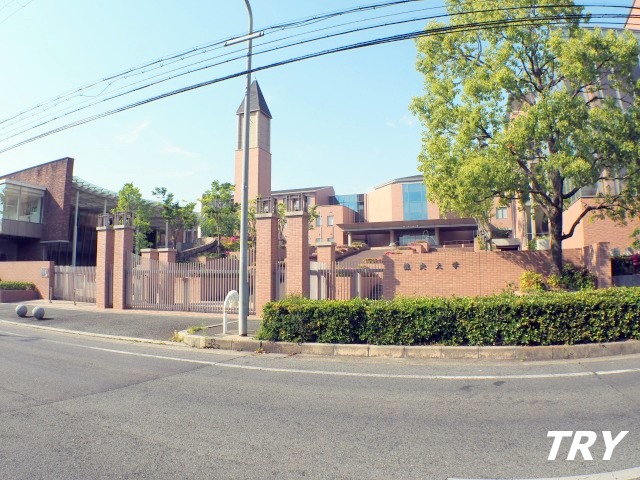 大学・短大　私立畿央大学（大学・短大）まで919m