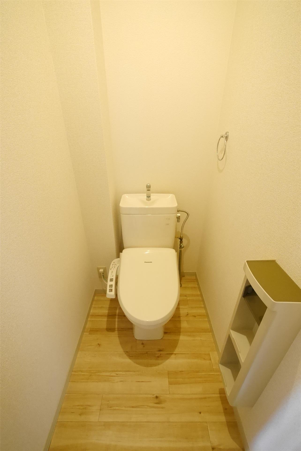 メゾン・エムロード F棟のトイレ写真