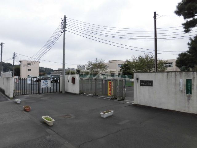 小学校　中野北小学校（小学校）まで705m