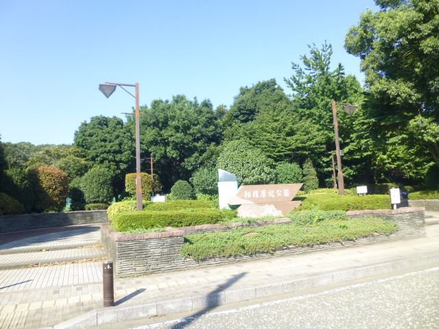 公園　相模原北公園（公園）まで360m