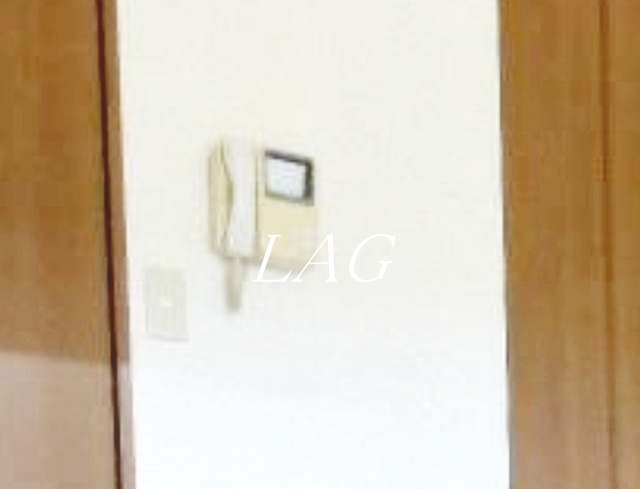 セキュリティ　モニター付きインターホンになります。