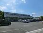 ドラックストア　カワチ薬品 新田駅前店（ドラッグストア）まで325m