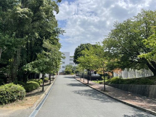 高校・高専　私立久留米大学附設高校（高校・高専）まで227m