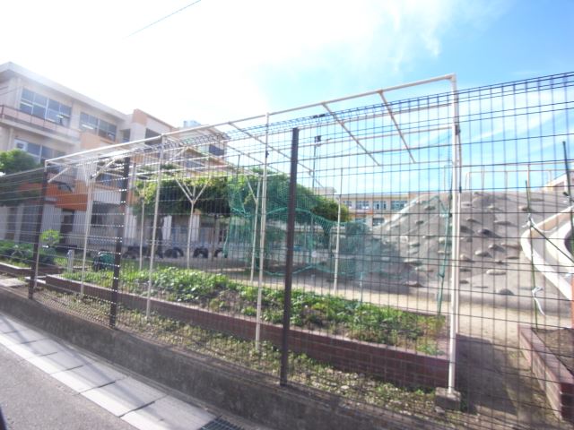 【豊山みどりハイツ２の幼稚園・保育園】