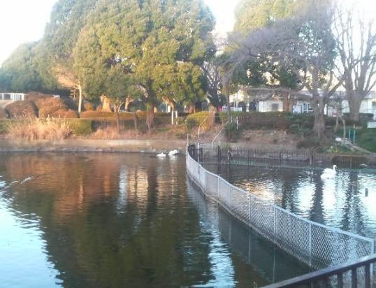 公園　鹿沼公園（公園）まで1018m