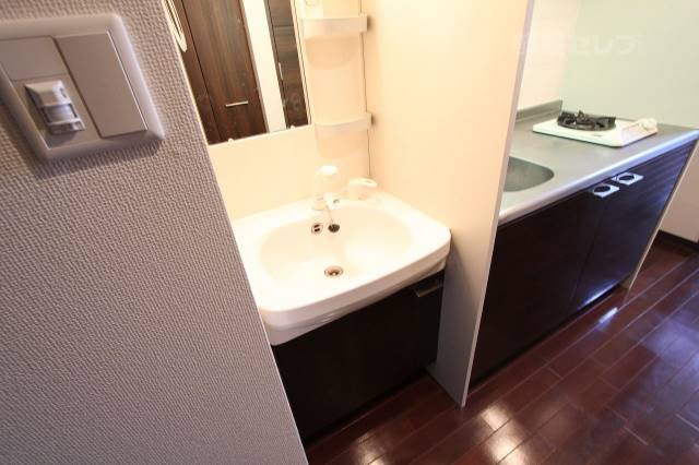 洗面設備　シャンプードレッサー付きです。