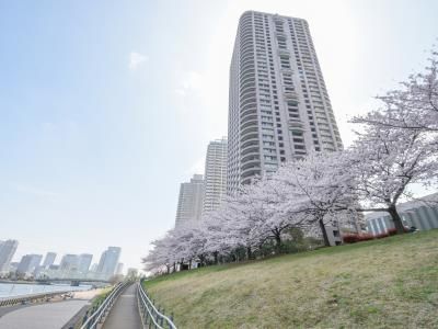 【中央区佃のマンションの建物外観】