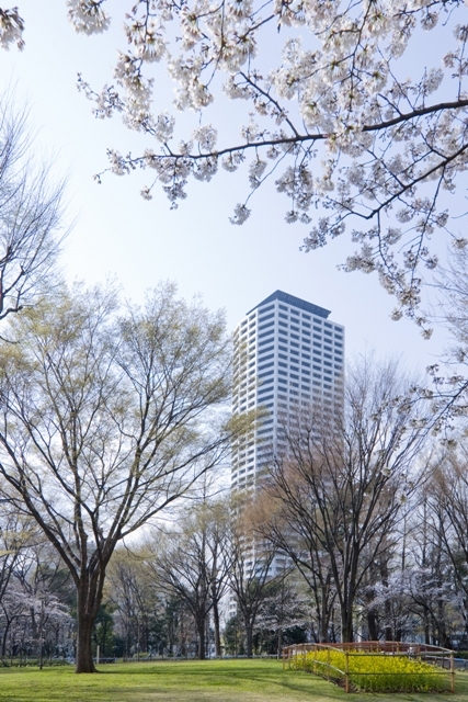 【コンシェリア西新宿ＴＯＷＥＲ’ＳＷＥＳＴのその他】