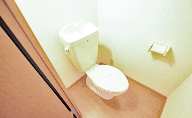 トイレ　写真は別室のものです。