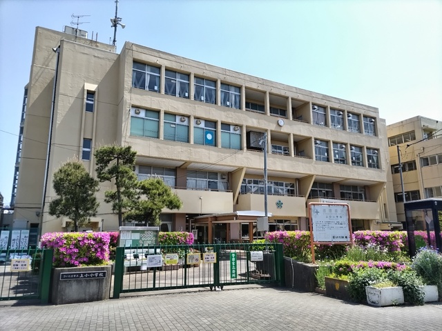 【リグナム大宮上小町の小学校】