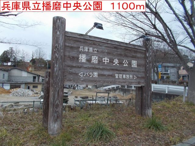 公園　播磨中央公園（公園）まで1100m