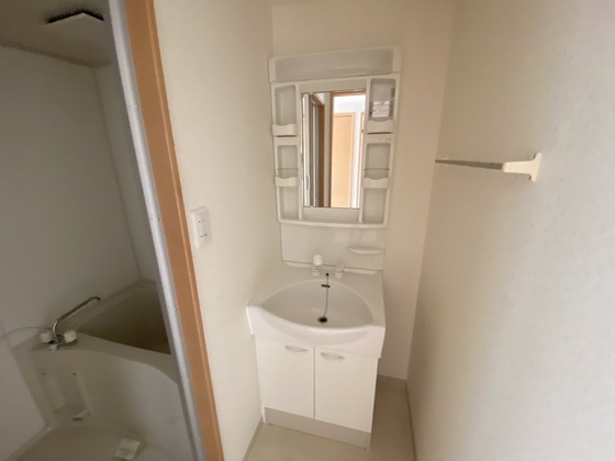 洗面設備　※別号室の写真です