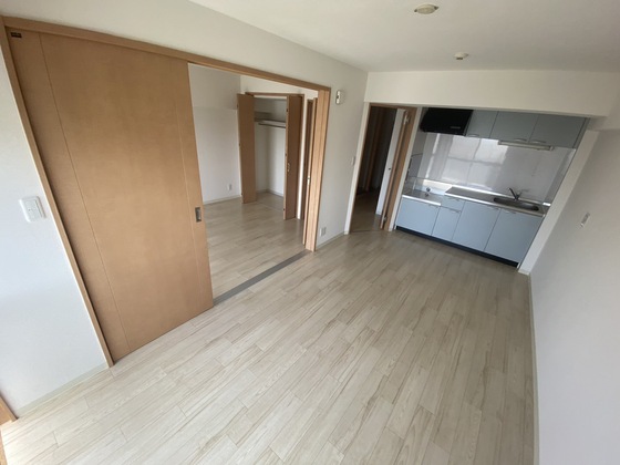 居室・リビング　※別号室の写真です