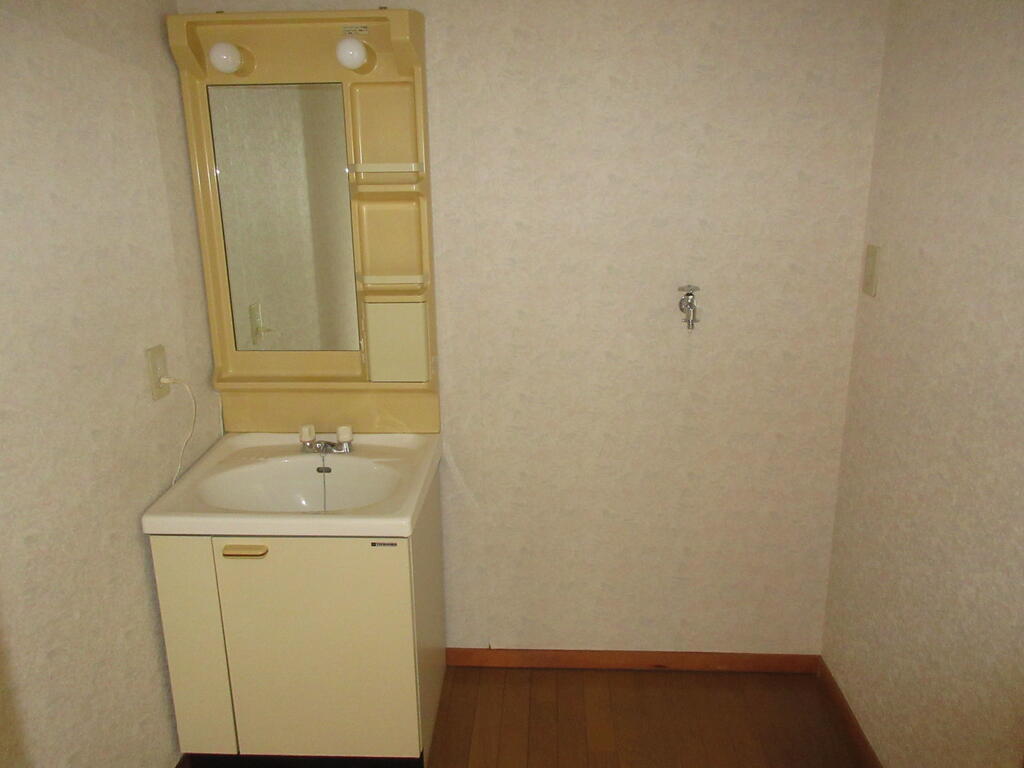 洗面設備　洗面化粧台＋室内洗濯機置き場