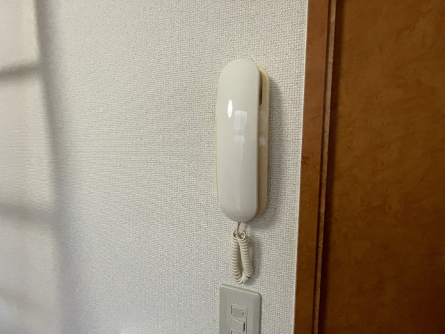 カラコレスのその他写真