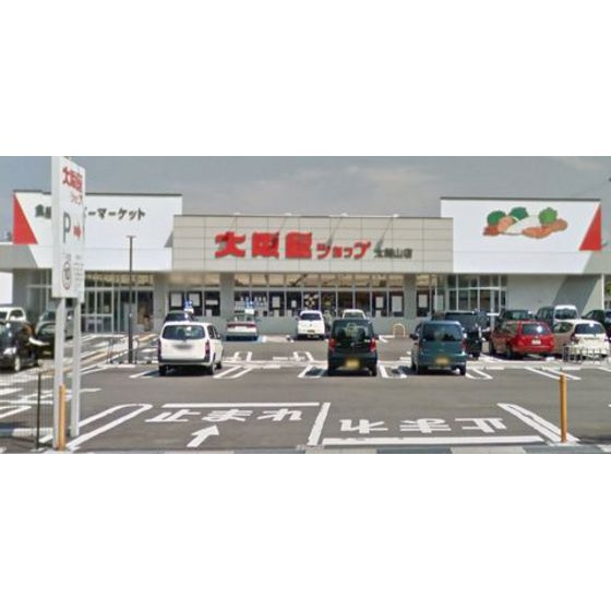 スーパー　大阪屋ショップ太閤山店（スーパー）まで315m