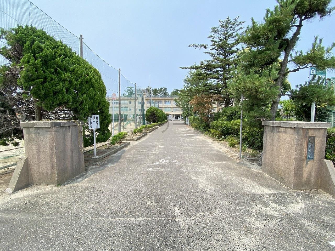 中学校　新潟市立内野中学校（中学校）まで497m