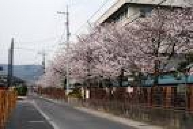 中学校　岡山市立竜操中学校（中学校）まで460m