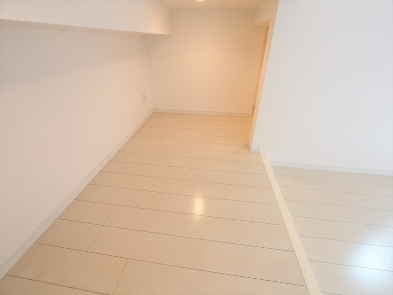 その他部屋・スペース　アンダーロフト4.7帖（収納としてもお部屋としても使えます）