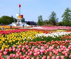 公園　砺波チューリップ公園（公園）まで1976m