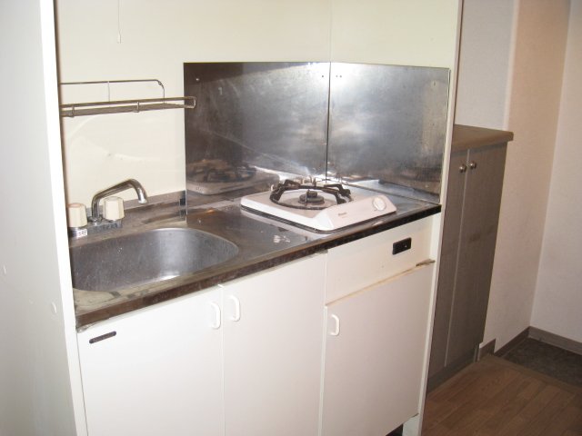 キッチン　同物件、別号室のものです。