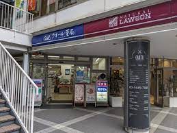 ドラックストア　ナチュラルローソンクオール薬局シティコート目黒店（ドラッグストア）まで333m