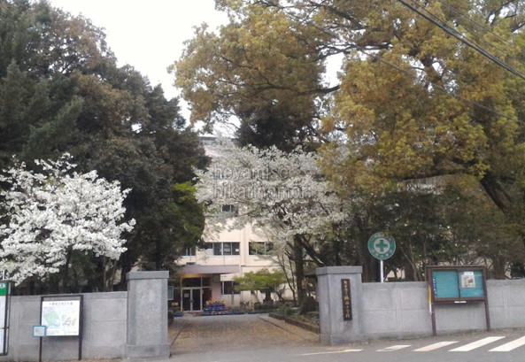 小学校　熊本市立城西小学校（小学校）まで500m