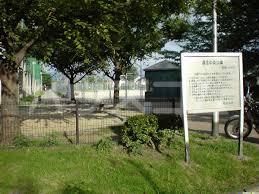 公園　長住中央公園（公園）まで1195m