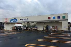 ドラックストア　welcia(ウエルシア) 新潟南出来島店（ドラッグストア）まで691m