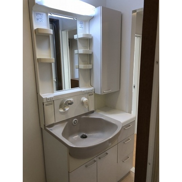 その他　シャンプードレッサー