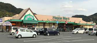 スーパー　ハピーマート田の口店（スーパー）まで3137m