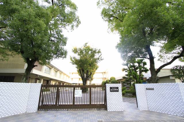 中学校　白山中学校（中学校）まで849m