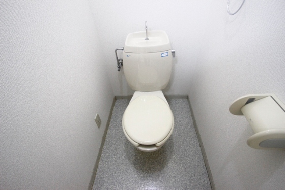 トイレ　※別号室の写真です