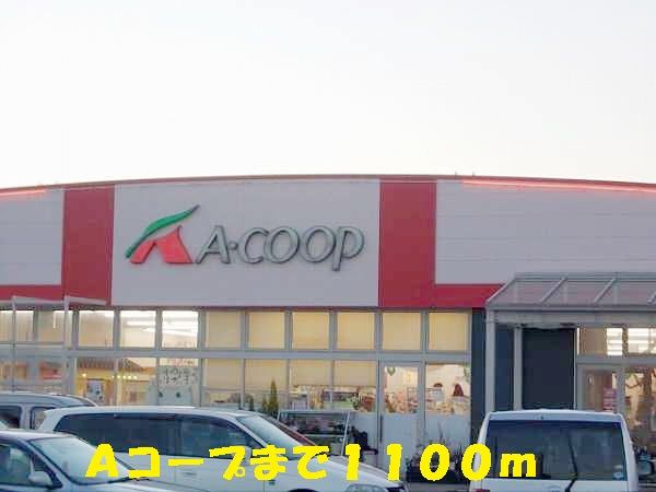 スーパー　Ａコープ（スーパー）まで1100m