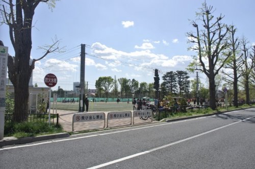 公園　中野区立南台いちょう公園（公園）まで1247m