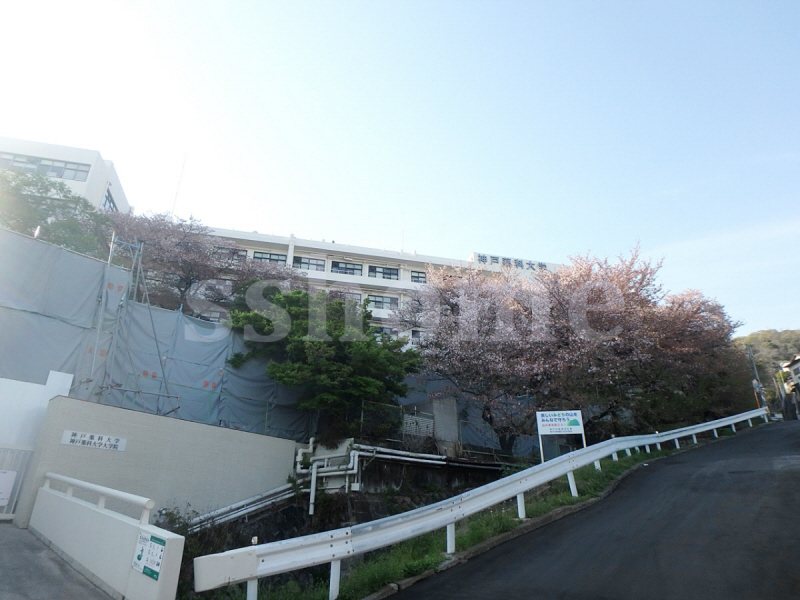 大学・短大　私立神戸薬科大学（大学・短大）まで671m