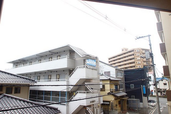 眺望　※別部屋の写真です