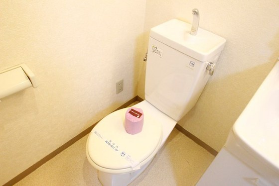 トイレ　※別部屋の写真です