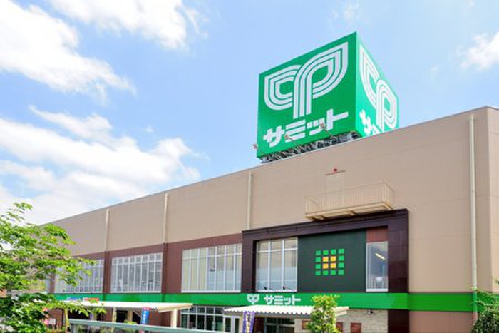 スーパー　サミットストア　環八南田中店（スーパー）まで302m