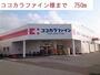 ドラックストア　ココカラファイン西脇野村店（ドラッグストア）まで750m