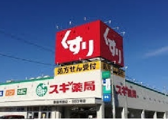 その他　スギドラッグ新林店まで400m