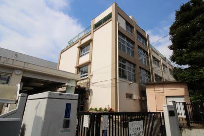 小学校　目黒区立五本木小学校（小学校）まで321m