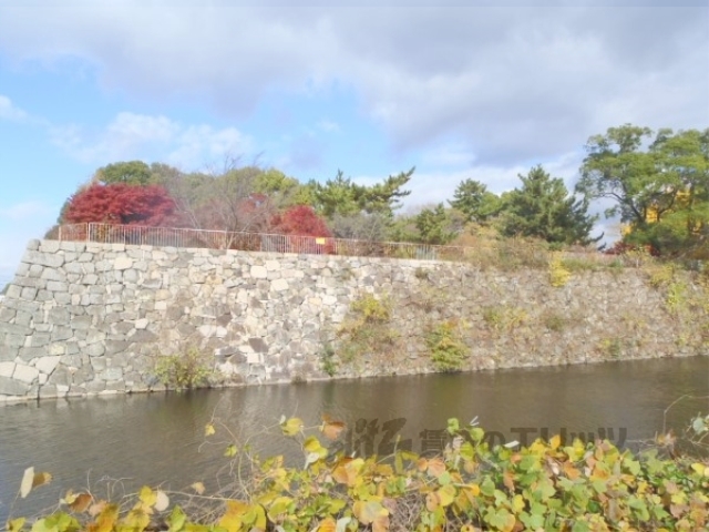 公園　淀城跡公園（公園）まで1500m